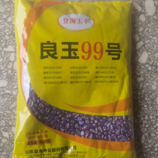 洛阳 良玉99玉米种子 登海裕丰良玉99玉米种高产抗病抗倒伏国