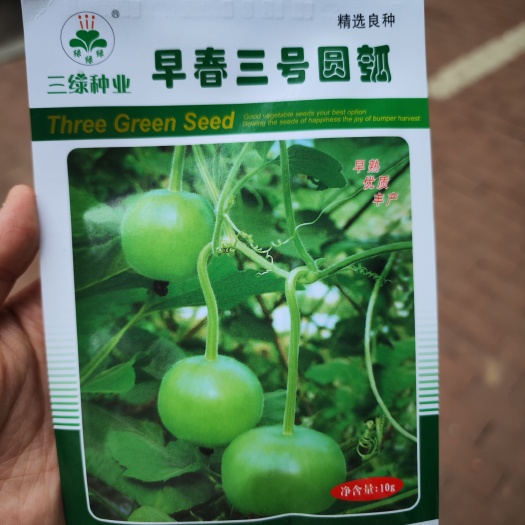 南昌早春三号圆瓠瓠瓜种子，10克