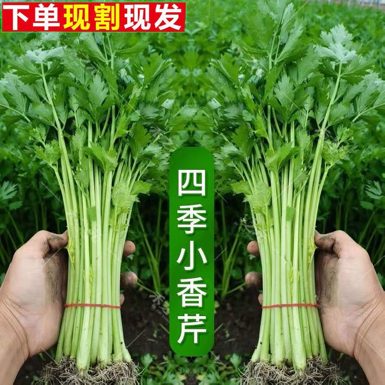鄧有權(quán)的店