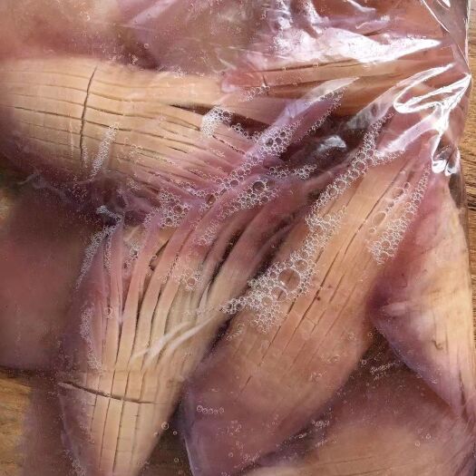 成都火箭鱿鱼