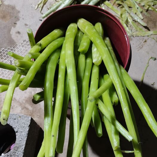 贺州0.5 红叶莴笋 一手货源现货现货 有老板喜欢嘛