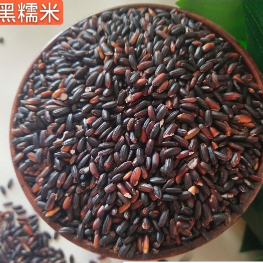 临沂现货批发东北黑糯米血糯米五谷杂粮农家自产50斤一包黑大米糯米