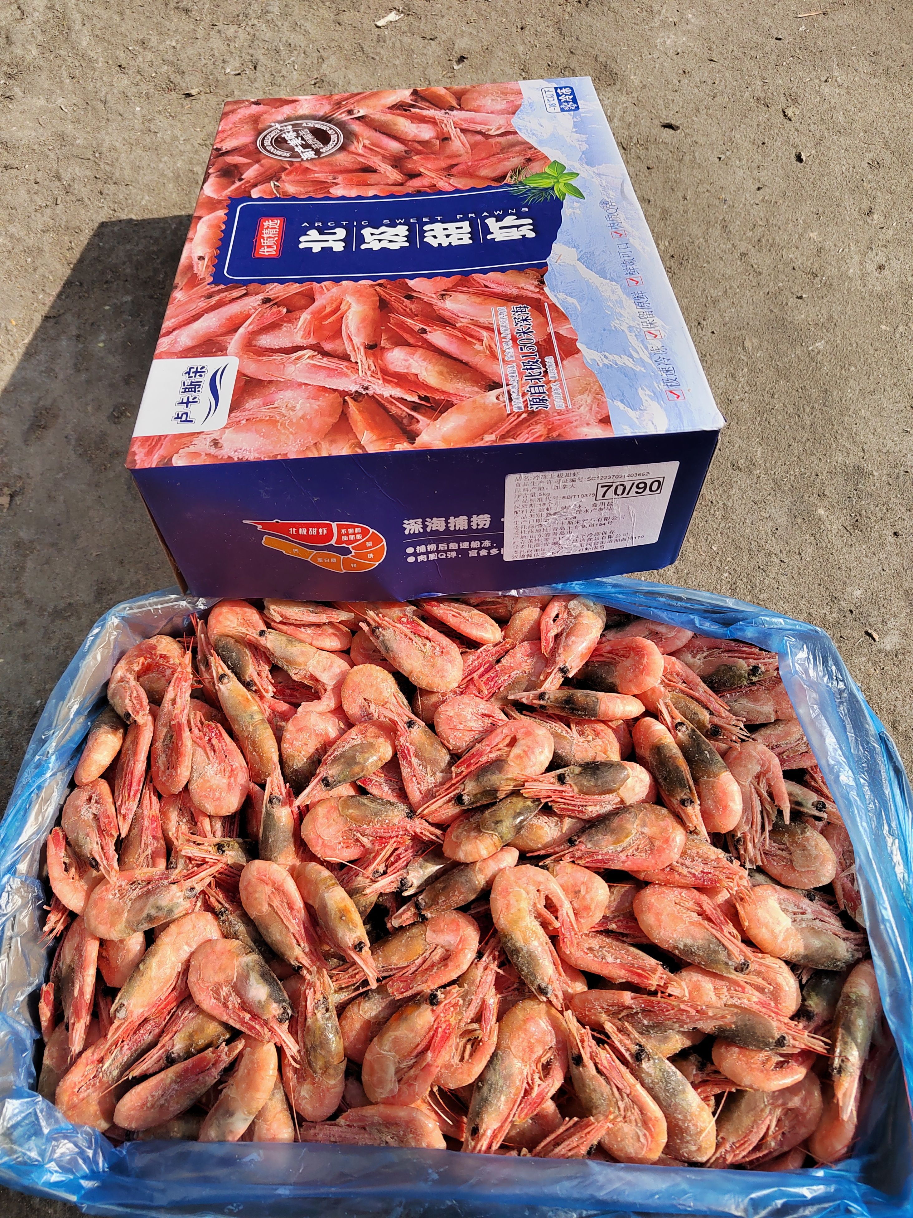 青岛北极虾  头籽70-90花头虾净重10斤