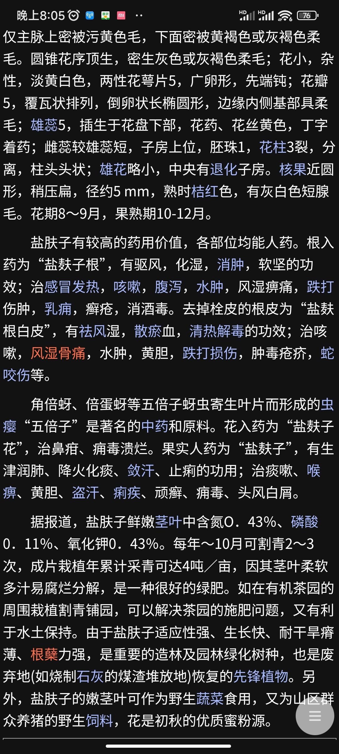 盐肤木子   五倍子种子
