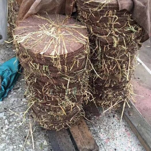 龙岩茶枯饼