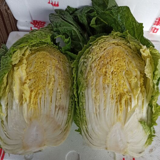 兰陵县精品黄心大白菜，产地直销