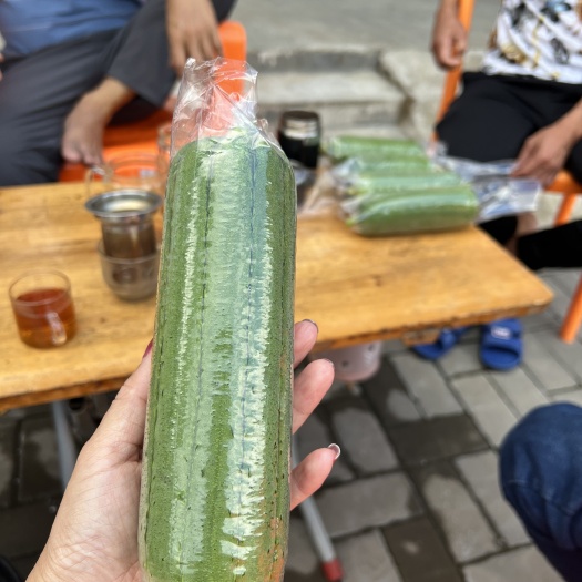 漳州肉丝瓜，福建基地种植