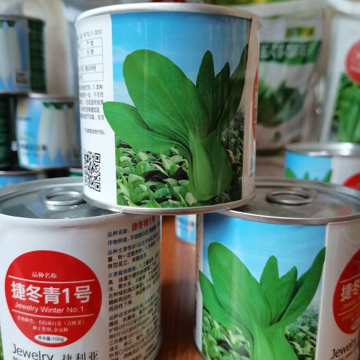 武汉【束腰耐寒】耐寒青梗菜种子籽 越冬耐寒冬季绿上海青菜种子