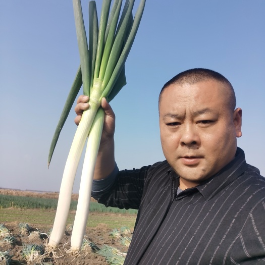 平度市平度铁杆大葱
