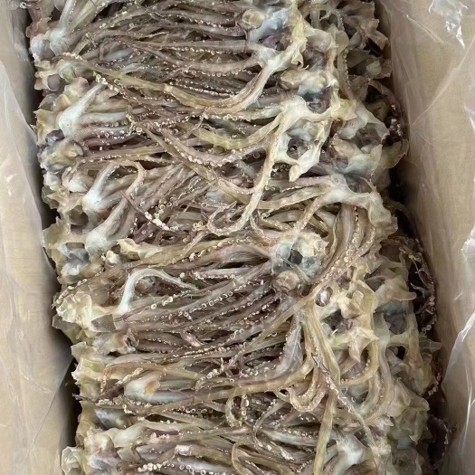 陆丰市鱿鱼头批发