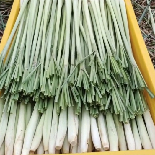 桂平市老板您好，我是香茅产地，本店货源充足，支持视频看货不怕比价，