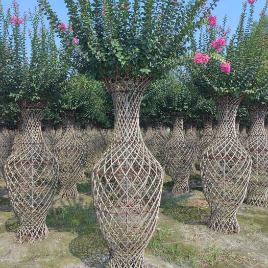 紫薇花瓶批发、紫薇造型花瓶