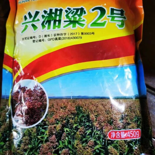 方城县精品兴湘粮2号 1000吨南阳发货价格不贵