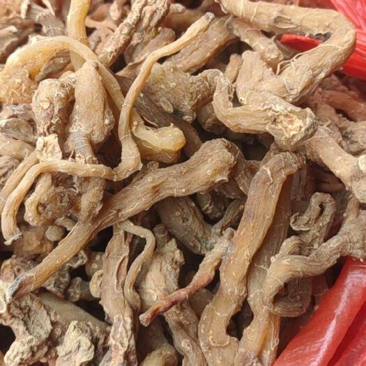 瓦房店市鸡头黄精