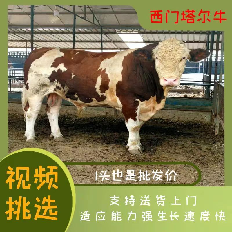 隆法養(yǎng)殖場(chǎng)
