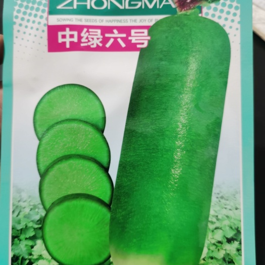 中绿六号 强悍水果萝卜种子 品质丰产