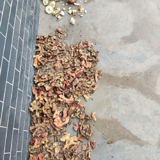 临潼石榴皮