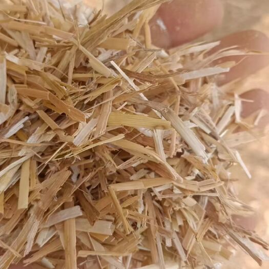 临泉县牛羊草料全国发货价格美丽质量非常好