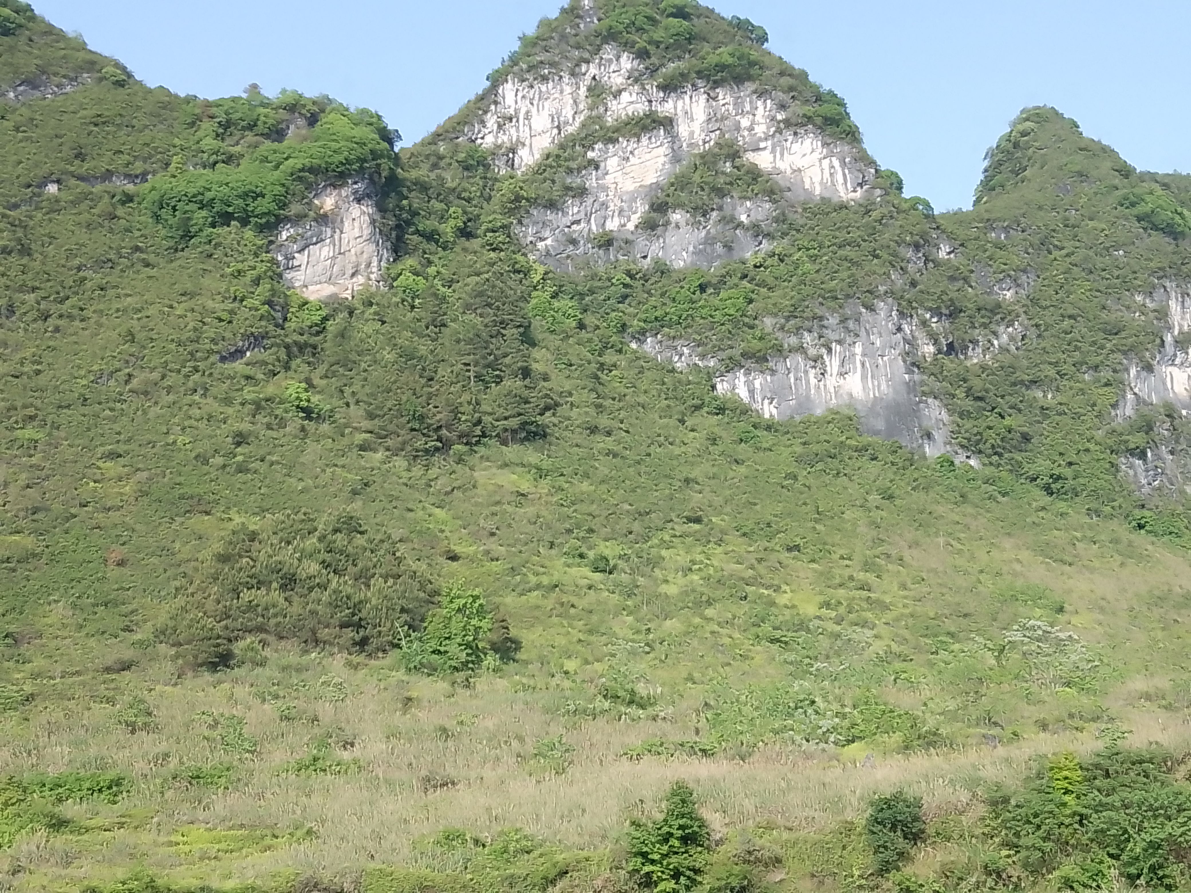 方园二公里山地，旱地近6000亩生态园区流转土地出租出让。