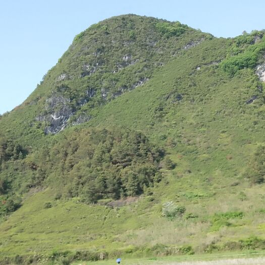 靖西市方园二公里山地，旱地近6000亩生态园区流转土地出租出让。