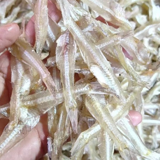湛江干炸小公鱼 新鲜美味，老少皆宜。