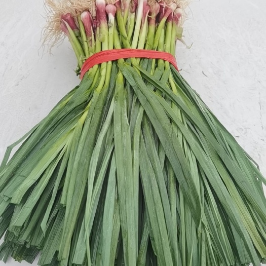 上海水洗红头大蒜，价格便宜