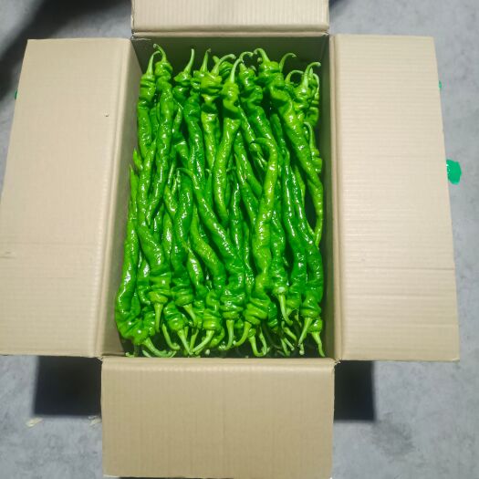 西昌市西昌鲜辣椒