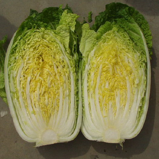 黄心白菜自产自销无中间商上车价格