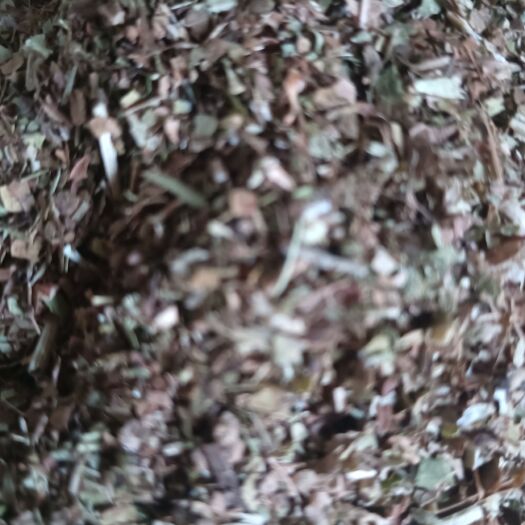 正阳县我家的炒粉正在加工。每天可选10吨质量可以给任何一家去比。