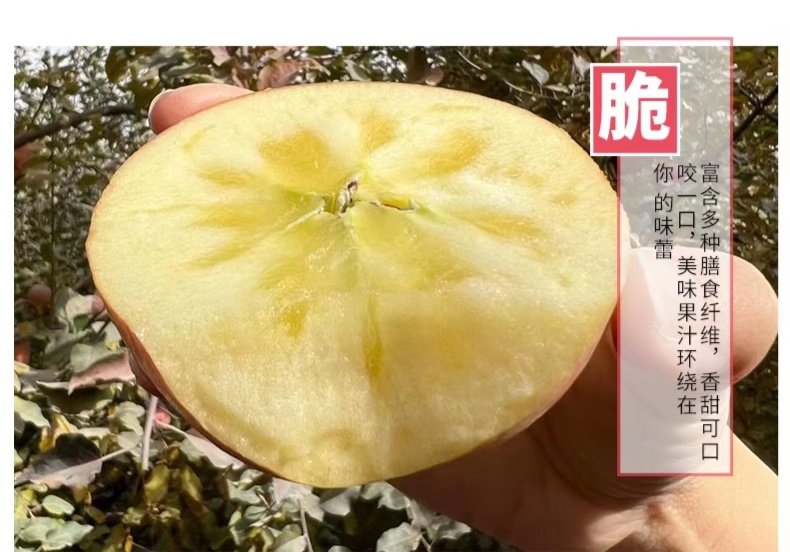 2023新疆阿克苏冰糖心苹果红富士脆甜产地直发德邦顺丰包邮 2023新疆阿克苏冰糖心苹果红富士脆甜产地直发德邦顺丰包邮