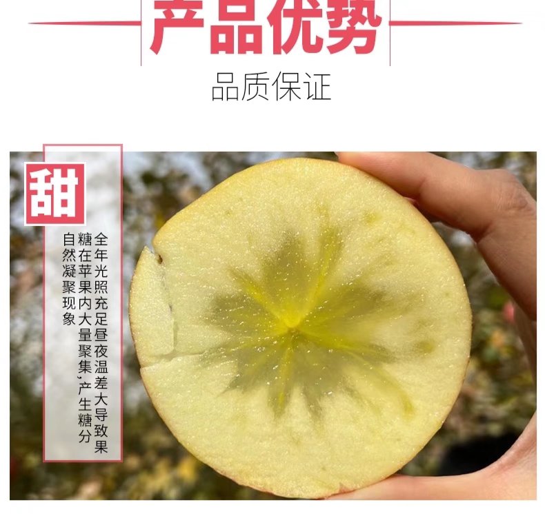 2023新疆阿克苏冰糖心苹果红富士脆甜产地直发德邦顺丰包邮 2023新疆阿克苏冰糖心苹果红富士脆甜产地直发德邦顺丰包邮