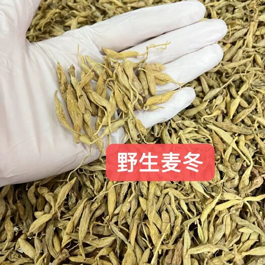 广州中药材类