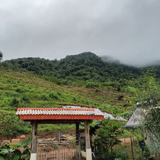 景谷县山地出租