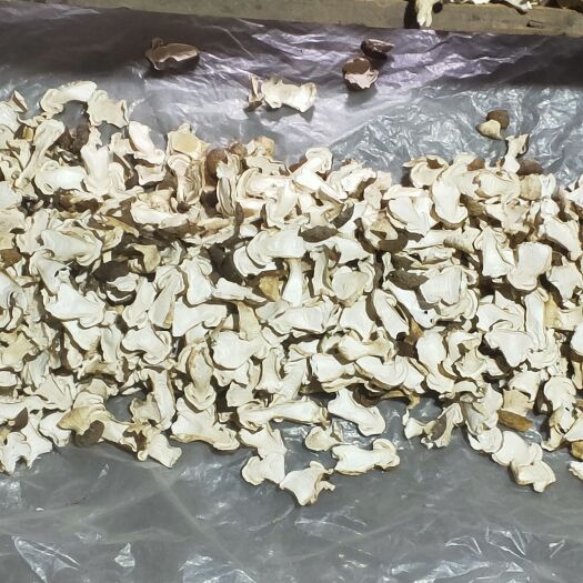 本溪县赤松茸干片