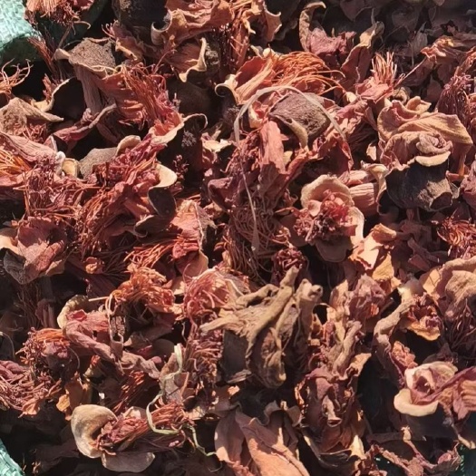 木棉花