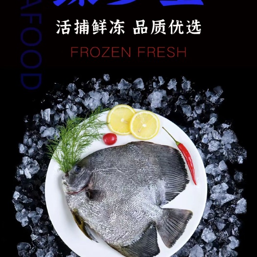 600/700三去海多宝（活鱼加工）