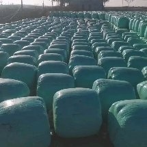广平县青储黄储花生秧牛羊马鹿驴草料