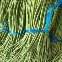 乐东县海南长豆，精品