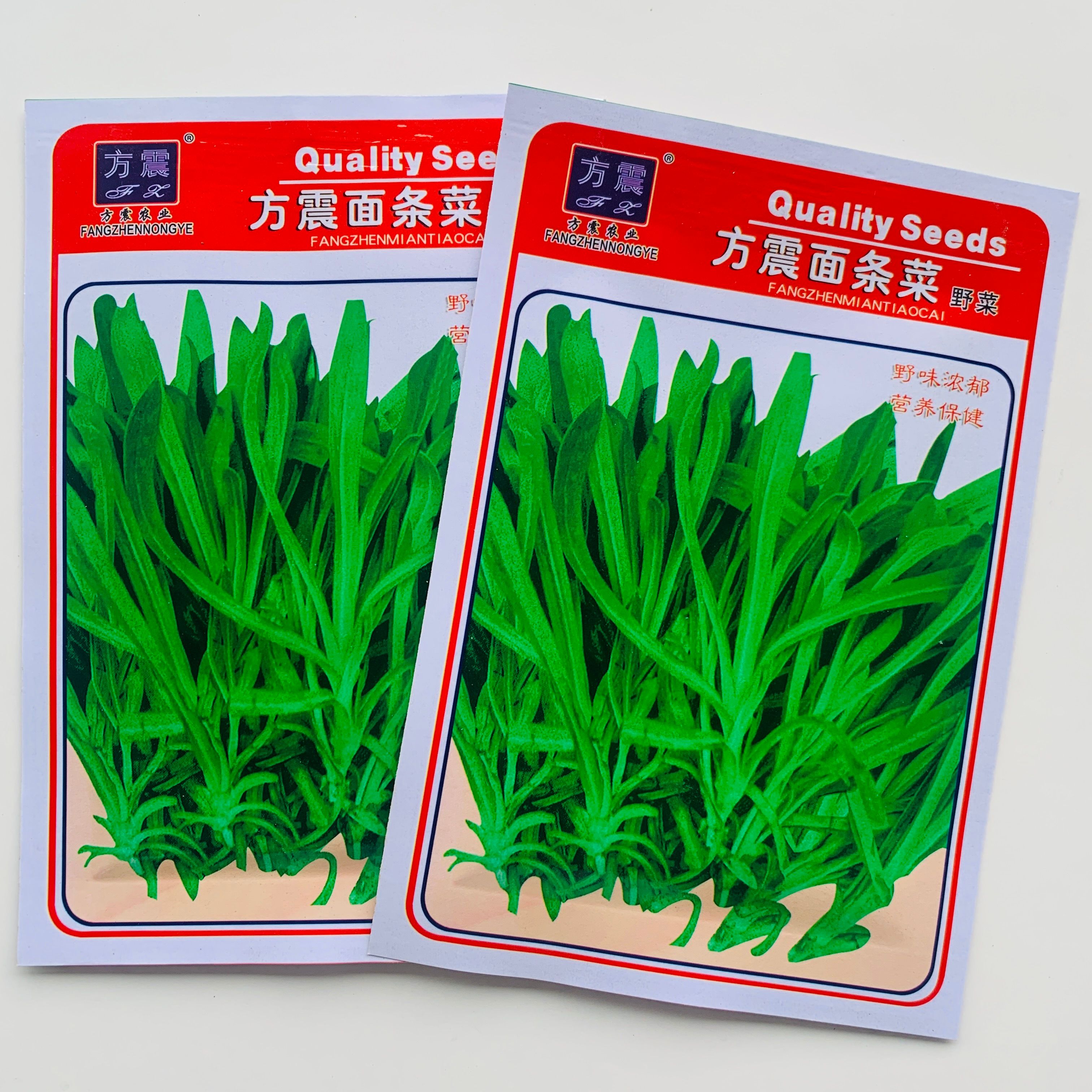 沭阳县面条菜种子野生面条棵麦瓶草种籽兔子头菜籽四季青菜野菜种孑菜种