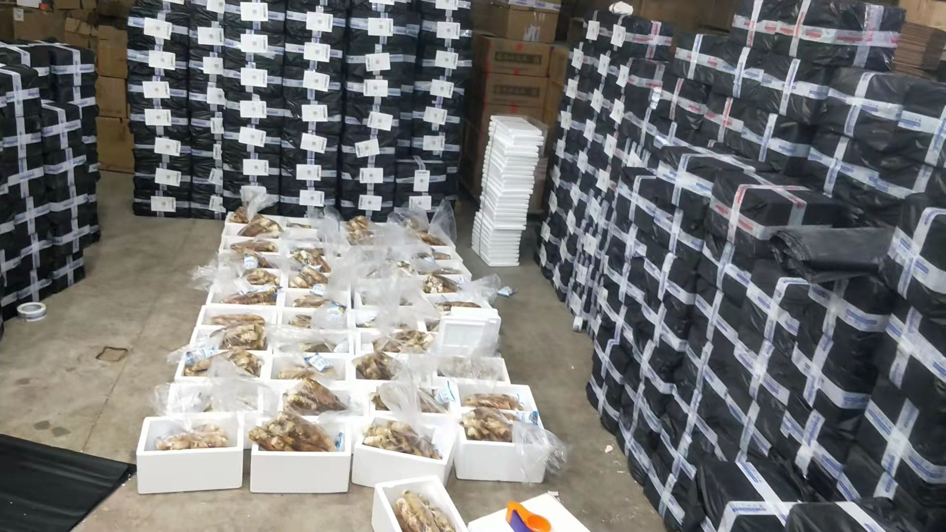 浙江杭州春笋雷笋鲜嫩多汁 原产地直供 一件代发 社区团购均可