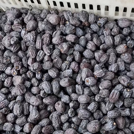 涉县黑枣