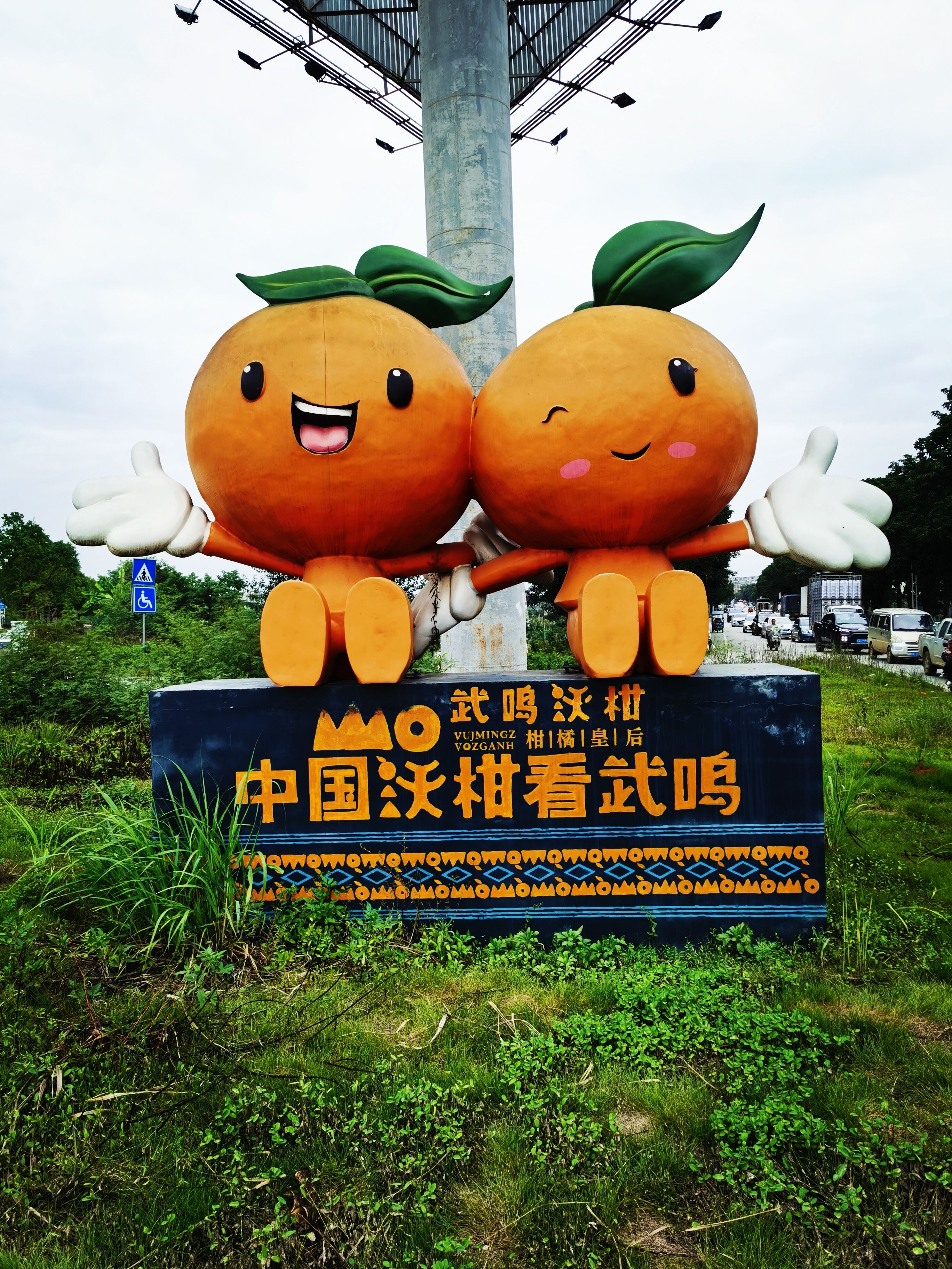 广西武鸣沃柑熟了，大量上市，落地配、社区团购电商微商一件代发