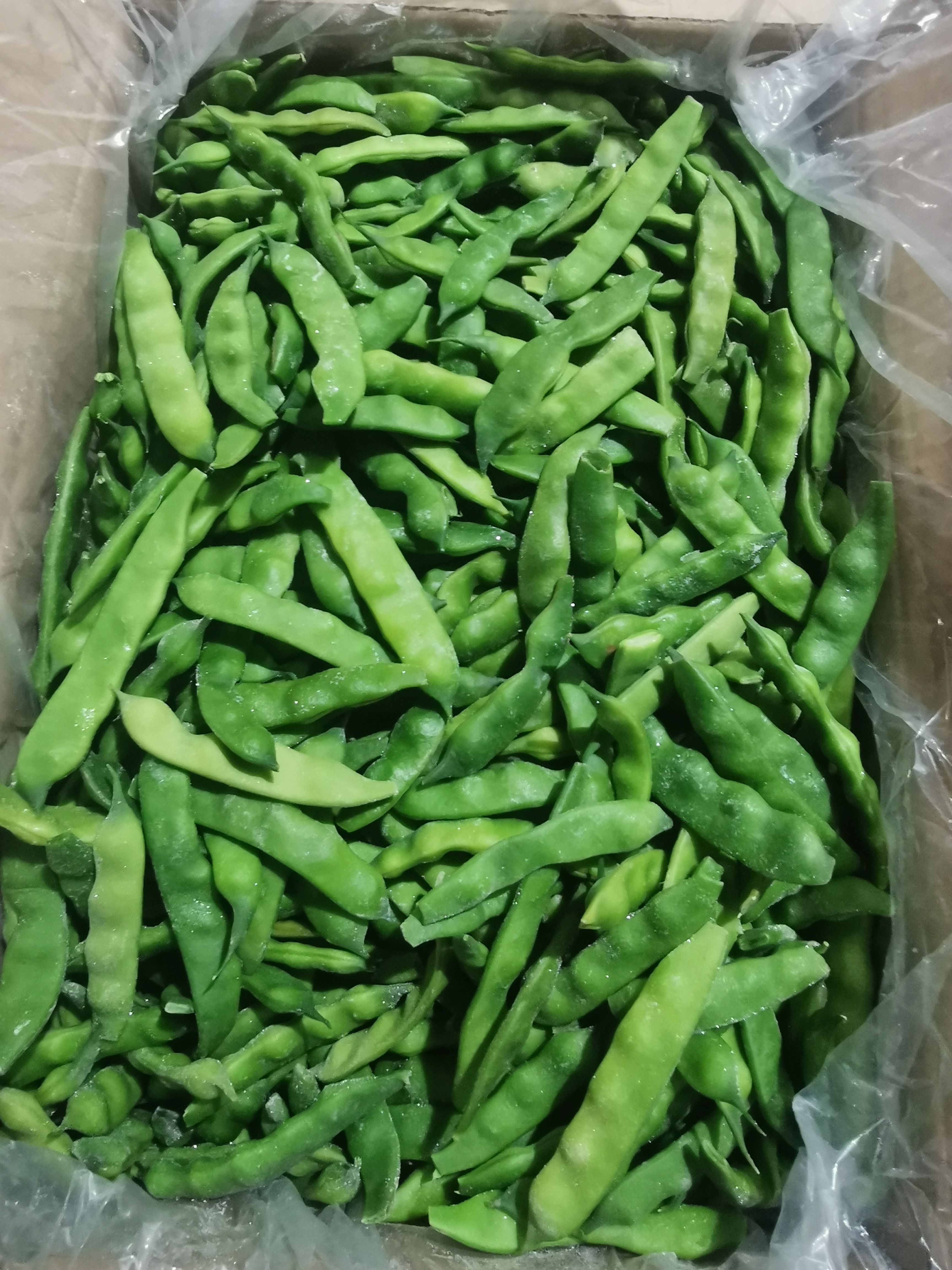 油豆角5公斤 油豆角批发]东北油豆角一点红油豆角新鲜现摘自产自销原产地直发