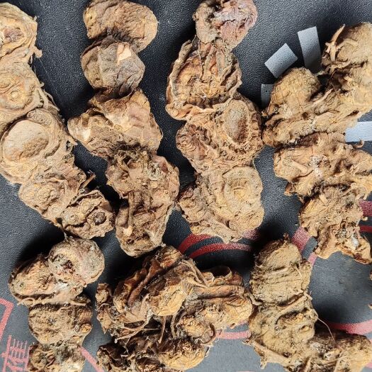 威信县竹根三七 又叫竹节参