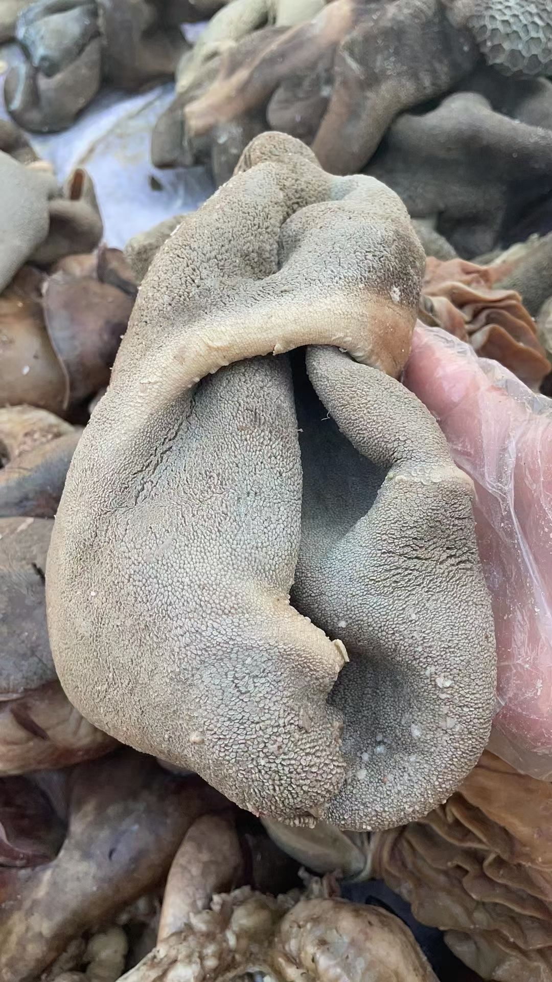 五香十分熟全套羊杂，纯水煮，没有任何科技与狠活