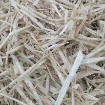 枣庄柔丝小麦秸秆