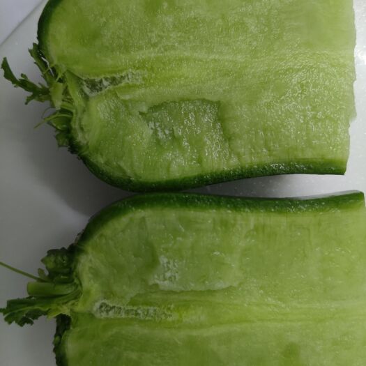 天津天津田水铺水果萝卜