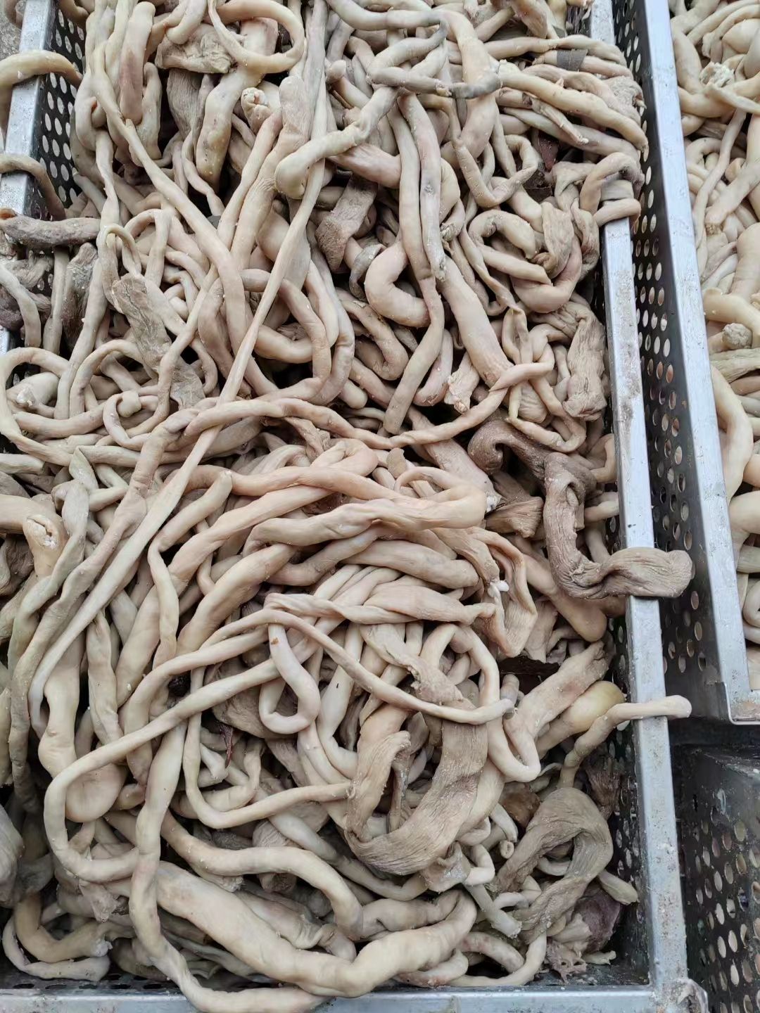 五香十分熟全套羊杂，纯水煮，没有任何科技与狠活