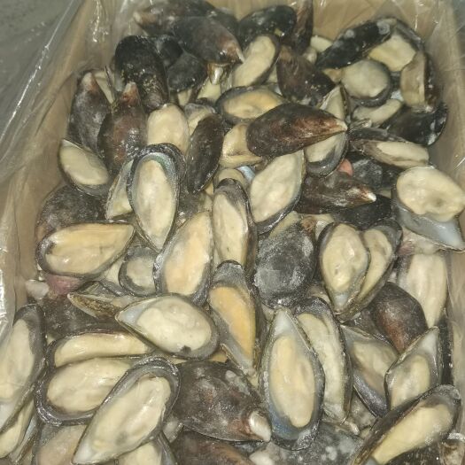 郑州蓝口贝小号