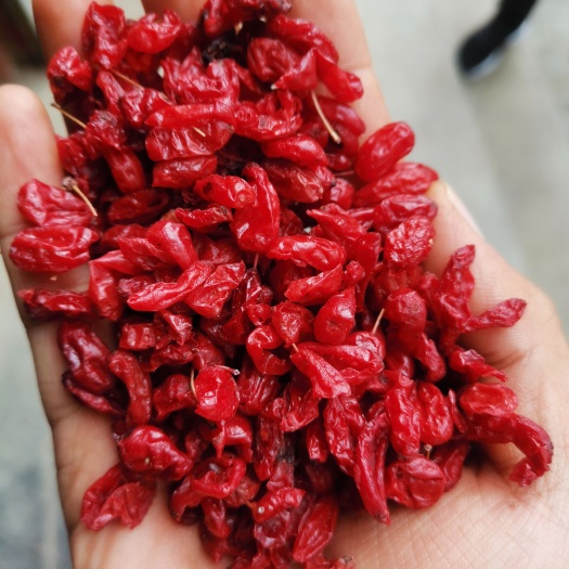 商洛山茱萸，山萸肉，枣皮